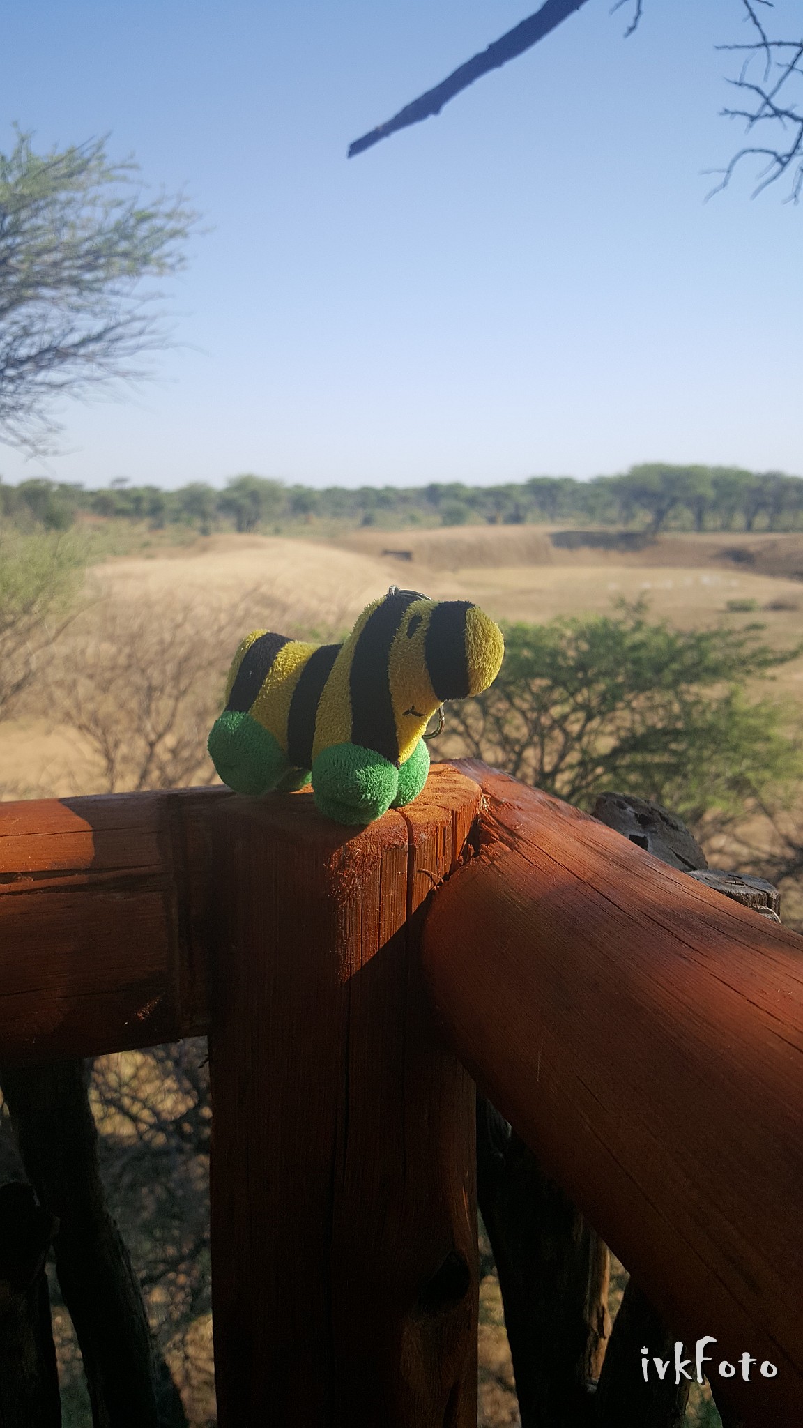 2017 Namibia